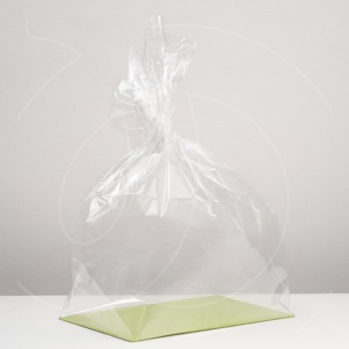 Пакет прозрачный с жёстким дном 5,5х6 см 5 шт 190513